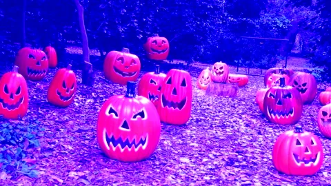 Scary Pumpkin Patch Stylized Blue Tinged Night Scene Zoom Rotate Stock Footage Video stock 253861346