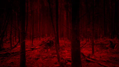 Scary Red Creature POV Moving Around The Woods Stock Footage 266852995