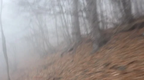 Scary road in the woods 1 스톡 동영상 44149907