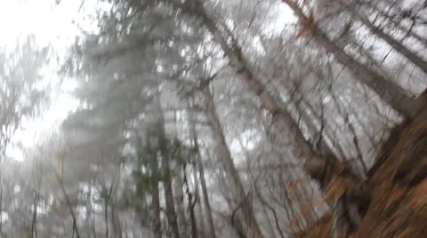 Scary road in the woods 2 Stock Footage 44150150