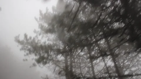 Scary road in the woods 3 Stock Footage 44150218