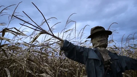Scary scarecrow in a hat Stock Footage 82652147
