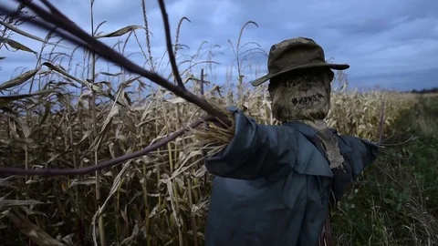 Scary scarecrow in a hat Vídeo Stock 82652712
