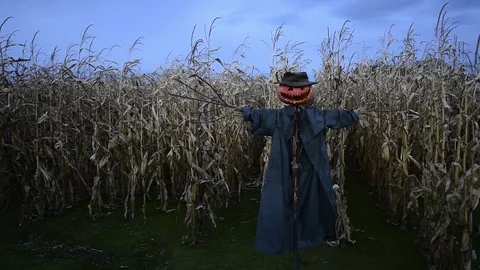Scary scarecrow in a hat Stock Footage 82652884