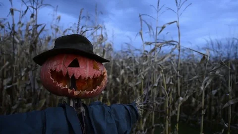 Scary scarecrow in a hat Stock Footage 82653677
