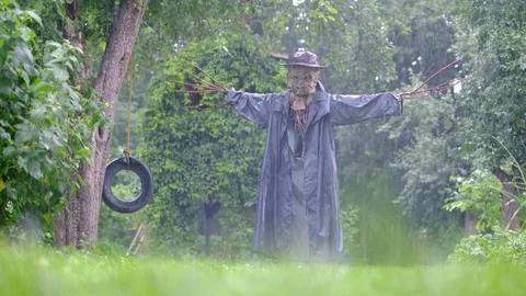 Scary scarecrow in a rain Stock Footage 99239811