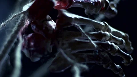 Scary scenery with human bones. Decorative human bones. Stock Footage 77543045
