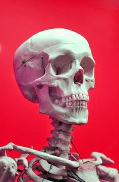 Scary Scull. Foto stock