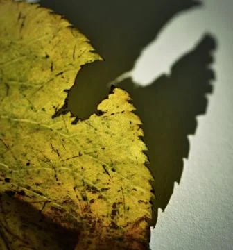 Scary shadow sheet Stock Photos