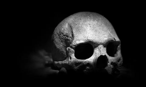 Scary skeleton Stock Photos