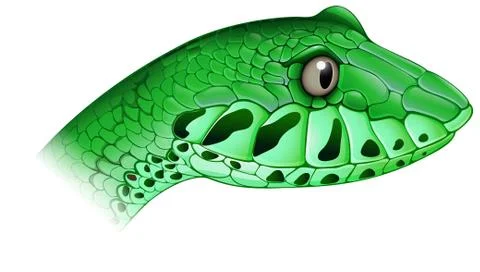 A scary snake Stock Illustration