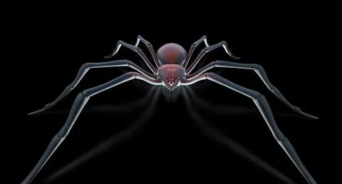 Scary spider black widow over black surface Ilustração Stock