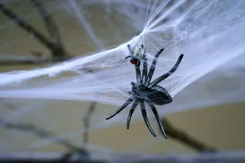 Scary spider in a web Stock Photos