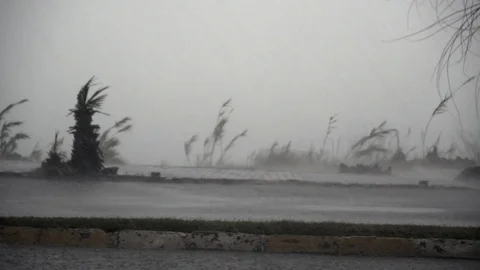 Scary suburban storm. Stock Footage 102767396