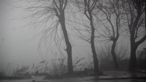 Scary suburban storm Stock Footage 102767516