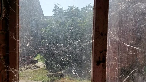 Scary Window Footage Video stock 248917174