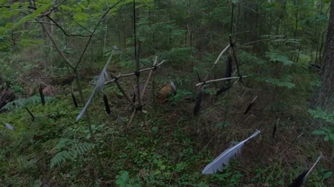 Scary woodoo Objects with Feathers on Trees in the Woods 4k60fps Stock Footage 135833493
