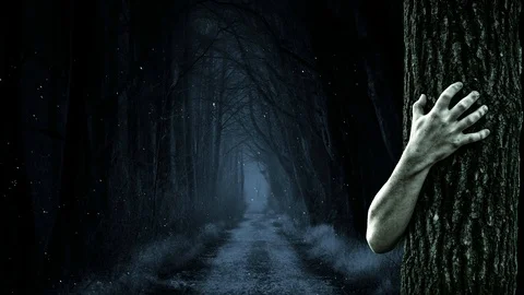 Scary woods 库存影片 106141696
