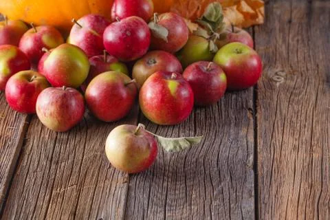 Scattered apples Stock Photos