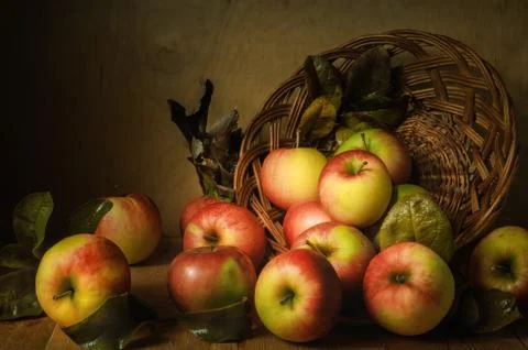 Scattered apples Stock Photos