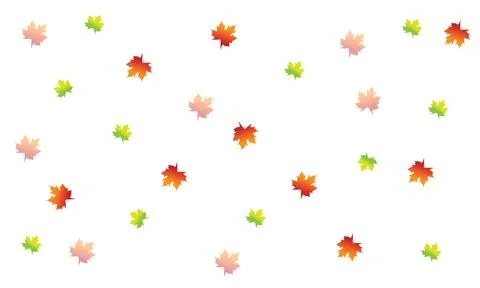 Scattered Autumn Maple Leaves in Gradient Colors on White Stock Illustration