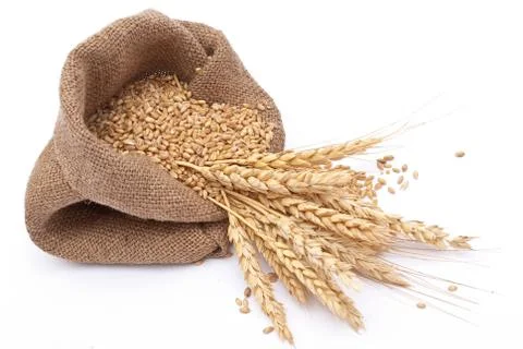 The scattered bag with wheat of a grain Stock Photos