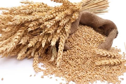The scattered bag with wheat of a grain Stock Photos