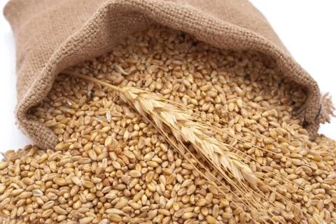 The scattered bag with wheat of a grain Stock Photos