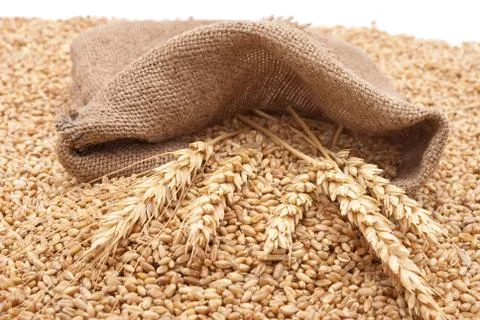 The scattered bag with wheat of a grain Stock Photos