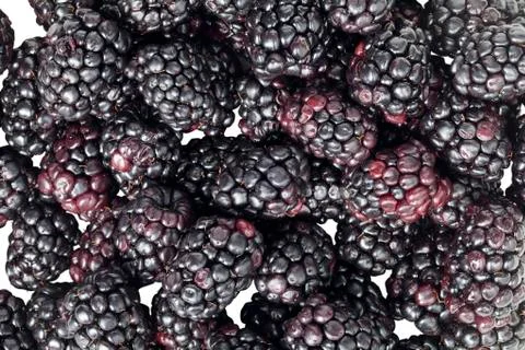 Scattered blackberries Stock Photos