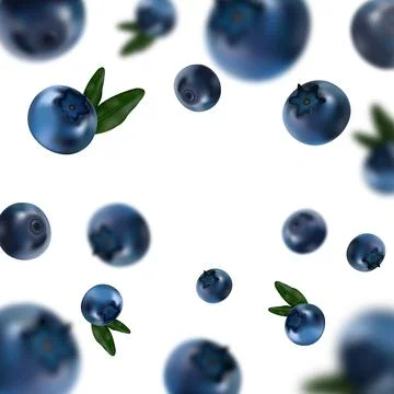 Scattered Blueberries with Leaves Vector Stock Illustration