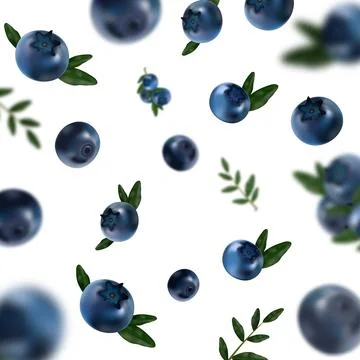 Scattered Blueberries with Leaves Vector Illustrazione stock