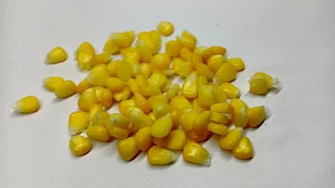 Scattered Boiled Sweet Corn Kernels on White Background Foto stock