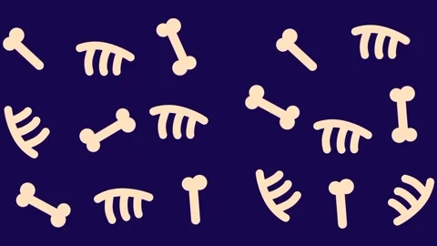 Scattered Bones Stock Footage 335667389