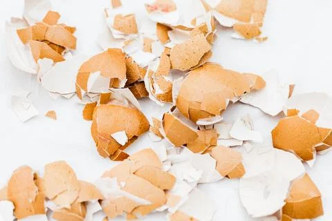 Scattered broken eggshells on a white background Stock Photos