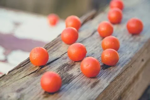 Scattered cherry tomatoes Stock Photos