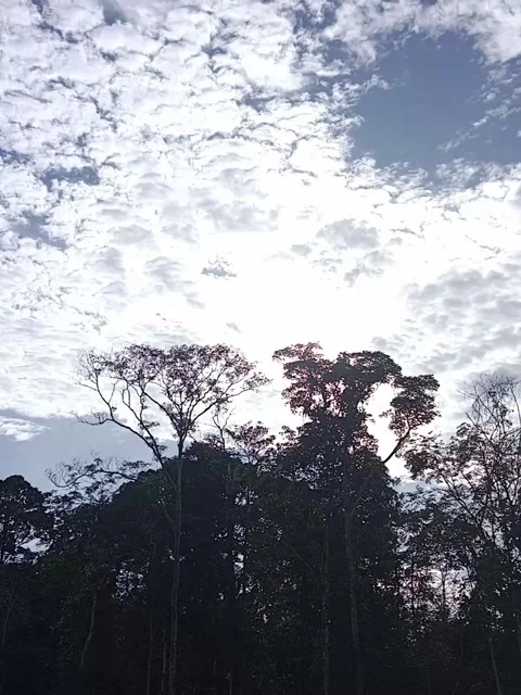 Scattered clouds Stock Footage 244234756