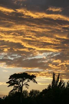 Scattered clouds in sunset sky. Foto stock