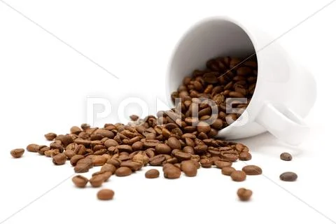 Scattered Coffee Beans Isolated on a White Background Stock Photos