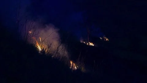 Scattered fires burning through dry grass with smoke at night Stock Footage 301637768
