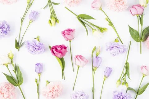 Scattered flowers different colours Stock Photos