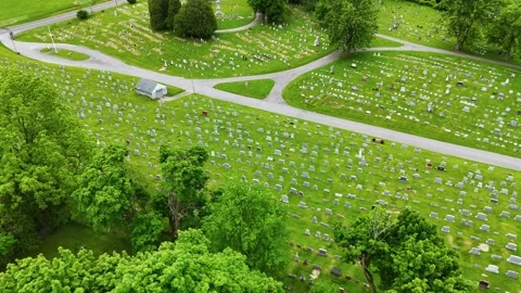 Scattered Stock Footage 335881696