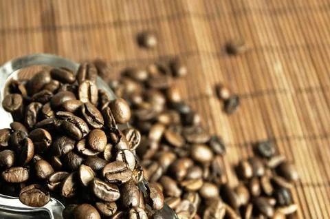 Scattered fresh coffee beans Stock Photos
