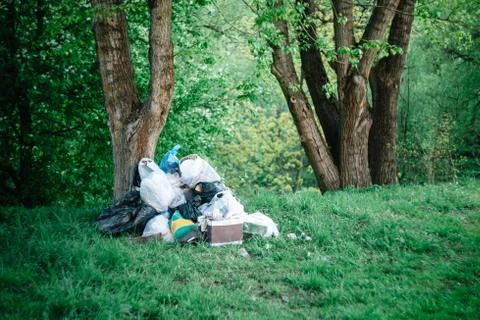 Scattered garbage in the forest. Environmental pollution, social problems. Stock Photos