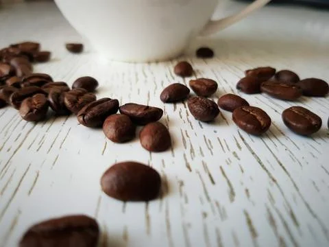 Scattered grains on a light table Stock Photos