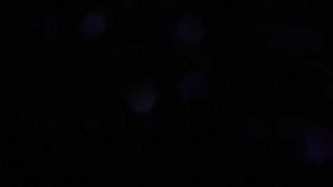Scattered hexagonal sparkling blue bokeh light 動画素材 309268224