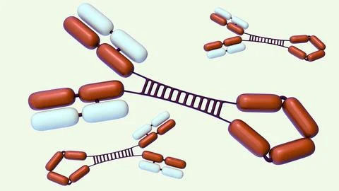 Scattered Immunoglobulin or IgG3 molecules in the background. Stock Illustration