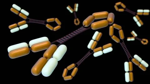Scattered Immunoglobulin or IgG3 molecules in the background. Stock Illustration