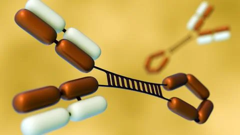 Scattered Immunoglobulin or IgG3 molecules in the background. Stock Illustration