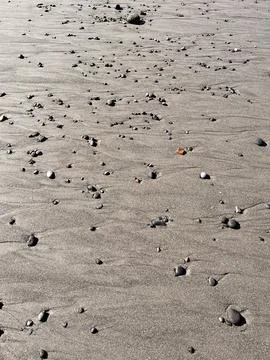 Scattered Medium Stones on Sandy Beach Shore Stock Photos